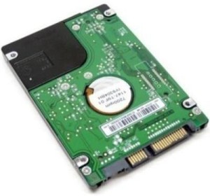 EverStore LAPTOP HARD DISK 500 GB Laptop Internal Hard Disk Drive (500GB LAPTOP HARD DISK WITH 3 YEAR WARRANTY)