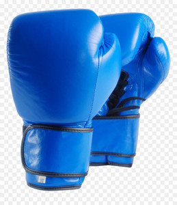 Es sports BOXING Gloves BLUE Boxing Gloves Flipkart