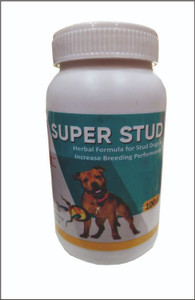 Stud shop dog supplements