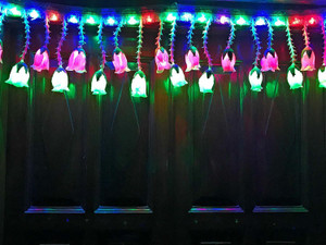 Light toran decoration new arrivals