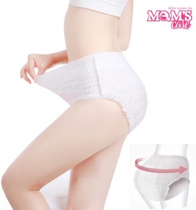 mems care Period Panty Pad Super Absorbent, Heavy Flow Disposable Overnight  Panties Sanitary Pad / Padded Panty 10pcs Sanitary Pad | Buy Women Hygiene