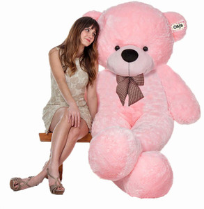 Teddy bear under 300 new arrivals