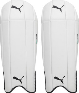 PUMA EVO 3 Wicket Keeper Pad Boys 32 35 cm Wicket Keeping Pad Buy PUMA EVO 3 Wicket Keeper Pad Boys 32 35 cm Wicket Keeping Pad Online at Best Prices in India Cricket Flipkart
