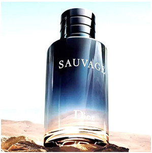 Sauvage 100 ml parfum deals