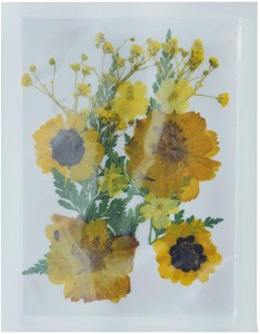 JustKraft Natural Dried Pressed Flowers for Resin Art