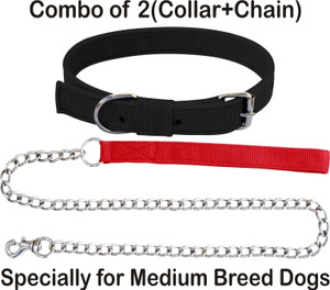 Dog chain online belt