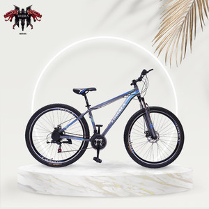 Cosmic crux 29 2025 price