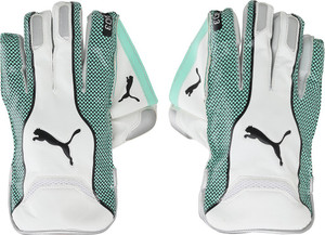 PUMA EVO 3 Wicket Keeper glove Wicket Keeping Gloves Buy PUMA EVO 3 Wicket Keeper glove Wicket Keeping Gloves Online at Best Prices in India