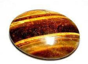 Tiger stone for which rashi hot sale