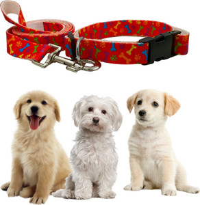 Dog online accessories flipkart