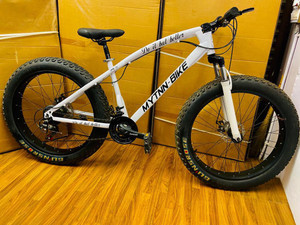 Jaguar on sale cycle 2019
