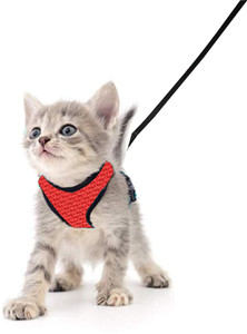 Cat body harness hotsell