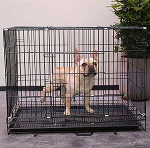 DRK Shop Mart DOG CAGE FOR PUG BEGAL SHITZU LASAHEAPSO POM TOY