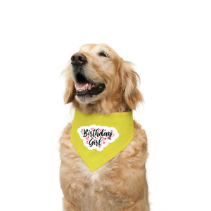 Female dog bandanas store