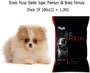 Drools Drools Focus Starter Dog Food for All Breeds Super premium formula Pack Of 12 Chicken 1.2 kg 12x0.1 kg Wet Young Dog Food Price in India Buy Drools Drools Focus