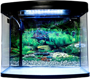Aquarium accessories sale flipkart