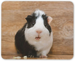 MIKKA Fun Guinea Pig Mouse Mat Pad Black White Pet Son Daughter