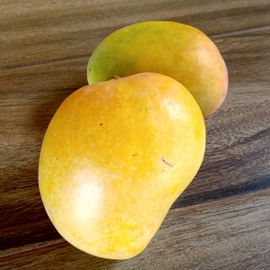 Hapus mango outlet