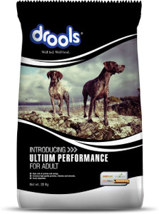Drools Ultium Performance Chicken 20 kg Dry Adult Dog Food Price