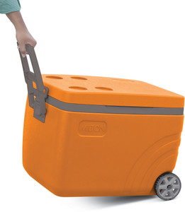 Milton ice box online 2025