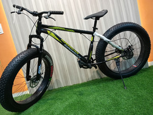 road master Fat Bike S Speed D Disc 26 T Roadster Cycle Price in