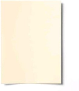 LUGDI 1 UNRULED 24 X 36 INCHES 310 gsm Drawing Paper - Drawing  Paper