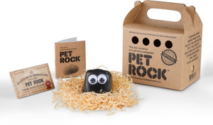 Pet shop rock price