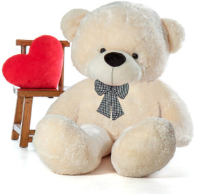 Cream colour sale teddy bear