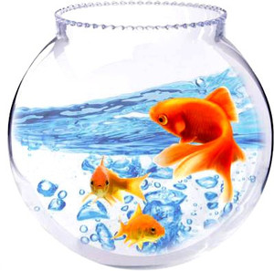 5 litre fish bowl top