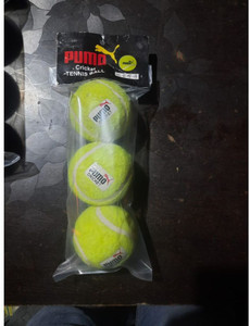Flare Pumo Cricket 1 Cricket Tennis Ball Buy Flare Pumo Cricket