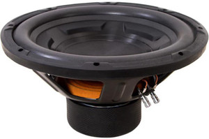 Ds12 subwoofer shop