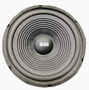 10 store woofer price