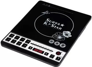 Pacific induction shop cooker