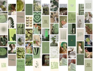 100 Sage Green Collage Wallpapers  Wallpaperscom