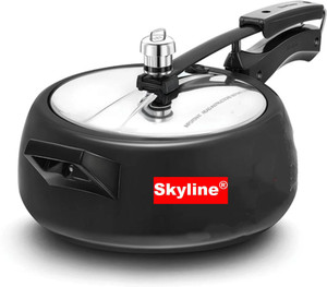 Skyline induction store cooker price