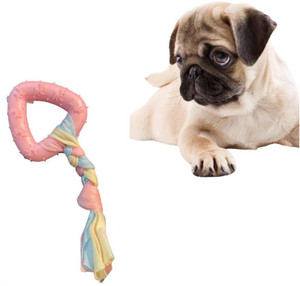 Pet planet dog toys sale