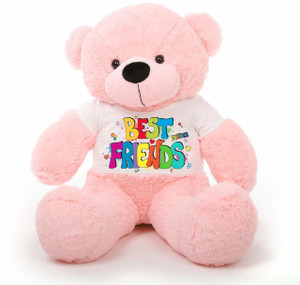 Hug n Feel Soft Toys Big Teddy Bear Wearing