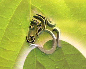 Ganesh wallpaper sales hd 3d