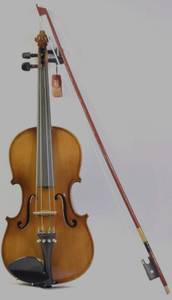 Violin clearance price flipkart