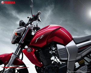 Saiga Parts Tank Tie for FZ16 FZ V1 Gloss Black Strap Volkswagen FZ FZ16 Bike Tank Cover Price in India Buy Saiga Parts Tank Tie for FZ16 FZ V1 Gloss Black Strap Volkswagen