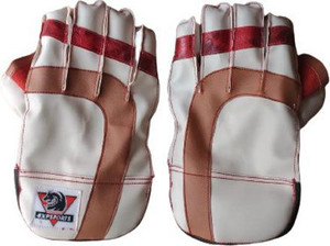 EXPSPORTS DHONI STYLE Wicket Keeping Gloves Buy EXPSPORTS DHONI