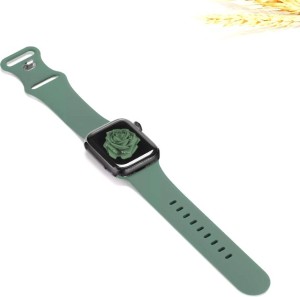 Hunter x hunter apple watch band hot sale