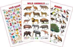 Spectrum Set Of 3 Educational Wall Charts Marathi Mulakshare Wild Animals Birds 1 Best Price In India Spectrum Set Of 3 Educational Wall Charts Marathi Mulakshare Wild Animals Birds 1 Compare