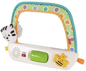 FISHER PRICE Sing Along Tummy Time Mirror Price in India Buy