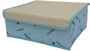 EtsiBitsi Lingerie Storage Case