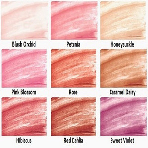 Burt s Bees Tinted Lip Balm 100 Natural Honeysuckle Best ...