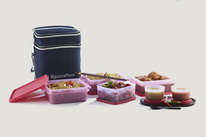 signoraware lunch box with bag offers