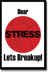 Seven Rays Dear Stress Lets Break Up Fridge Magnet