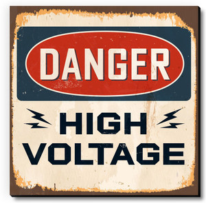 Seven Rays Danger High Voltage Fridge Magnet
