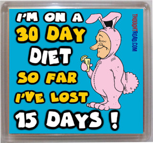 Thoughtroad 30 Day Diet Fridge Magnet